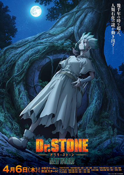 Dr. Stone 3